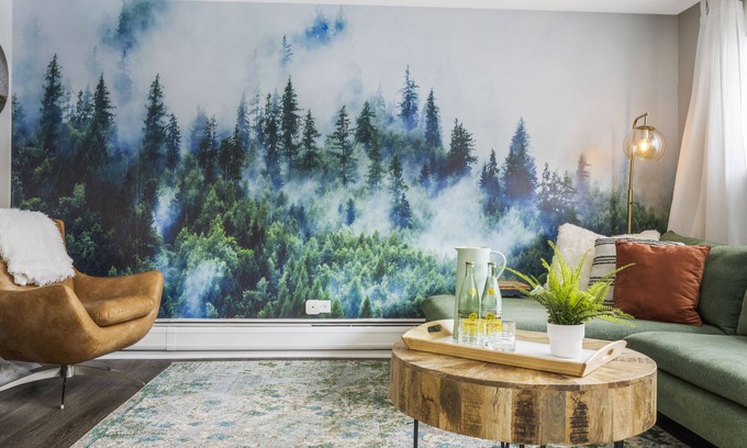 Geneva Apartamento | Keyless, KING bd, WIFI, desk, Fox River Bike Trail, near MetraTrain