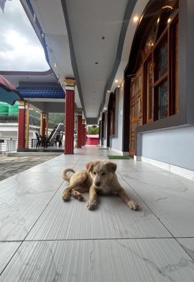 Dugalbitta Casa | Khushi homestay