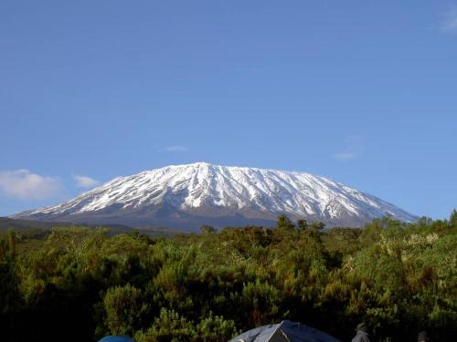 Moshi Cama Y Desayuno | KILIMANJARO HOME OF RASON