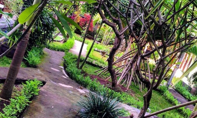 Purwakerti Cabaña | Kirana Homestay - Breeze Bungalow