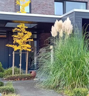 Friesoythe Apartamento | Klause am grünen Hof