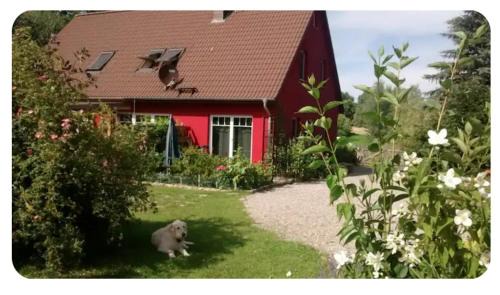 Testorf Casa | Kleiner Bauernhof in Ostseenähe - ganze Ferienwohnung mit 2 Zimmern