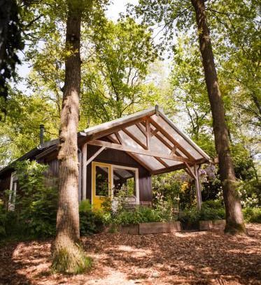 Horst Casa | Knus boshuisje onder de eiken