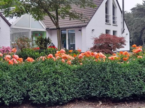 Het Geheul Casa | Kromven
