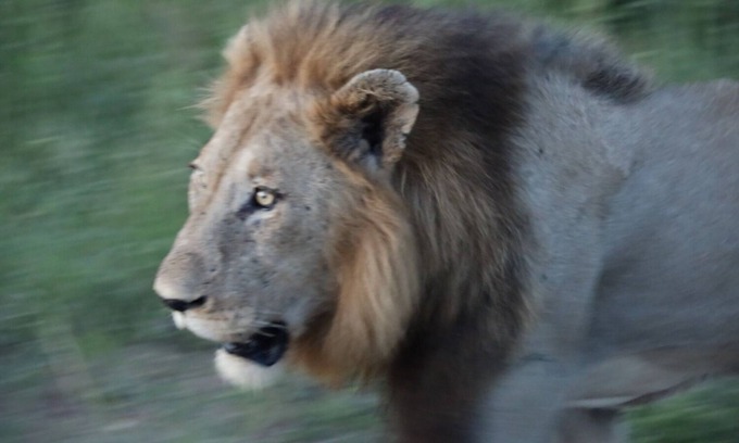 White River Casa | Kruger Mountain Tented Camp