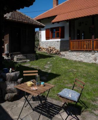 Dragolj Casa | Kuca pod Rudnikom