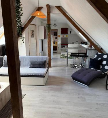 Entzheim Apartamento | L'Alcôve Alsacienne chaleureux avec chauffаge