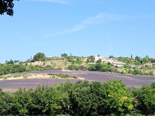 Puimichel Cama Y Desayuno | La Bergerie en Provence