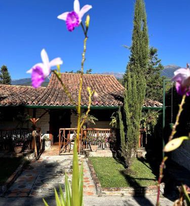 Mérida Casa | La Cabaña del Abuelo