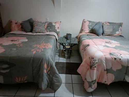 Municipio de Juárez Casa | la casa de la tia Lucita