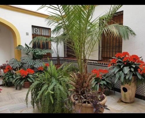 La Trinidad-San Juan y Todos los Santos Apartamento | La casa de Tachi