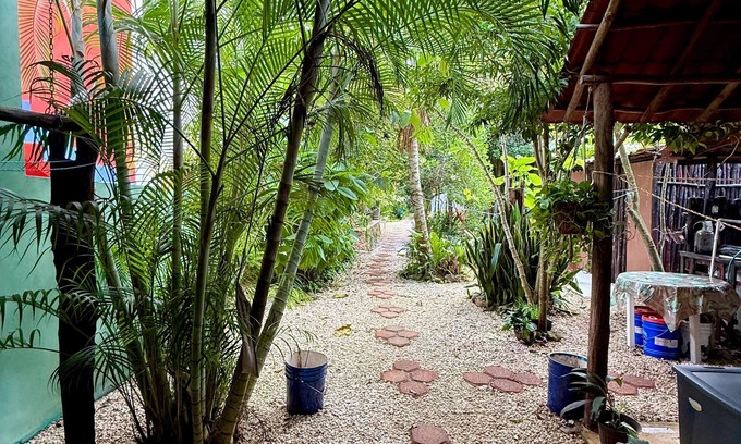 Chichen Itza - Valladolid Casa | La Casa Del Arbol