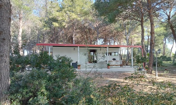 Maruggio Casa | La casa nella pineta
