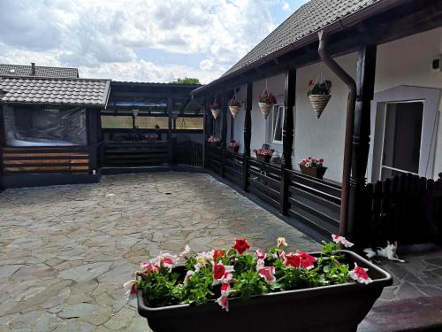 Ocna Sugatag Casa | La Dory