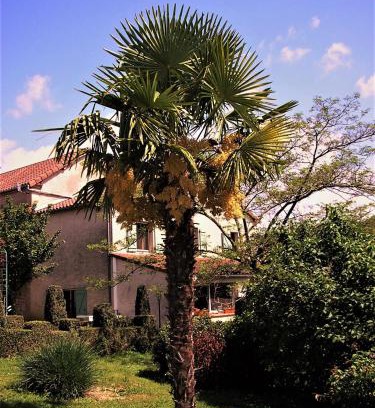 Berganty Cama Y Desayuno | LA FERME JARLAN