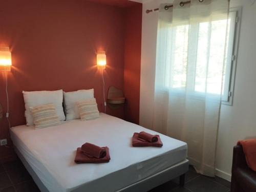 Albi Casa | La Maison Vanista