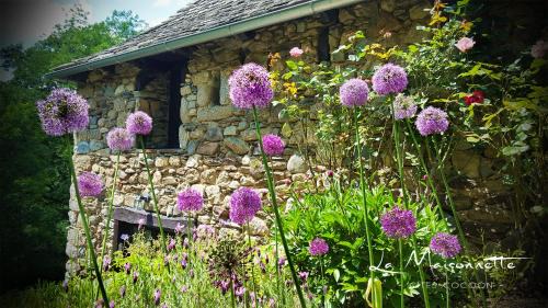 Entraygues-sur-Truyere Casa | La Maisonnette