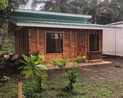 Palma Casa | La Mochis