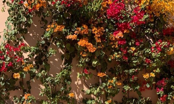 Agdal Apartamento | La Perla de Marrakech