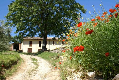 Acquasparta Casa | La Perticara Agriturismo