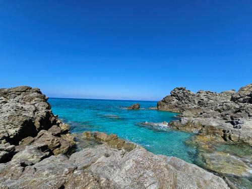 Marina di Zambrone Cama Y Desayuno | La Rosa dei Venti
