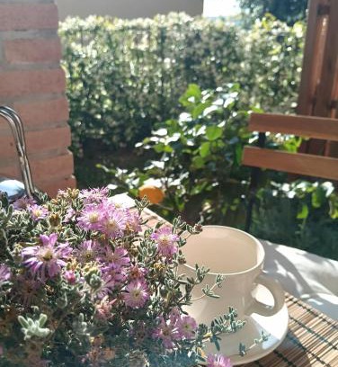 Montescudaio Apartamento | La tana del riccio