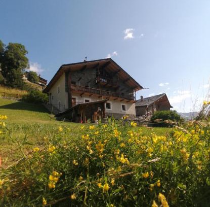 Saint-Rhemy-en-Bosses Cama Y Desayuno | La Thuillettaz