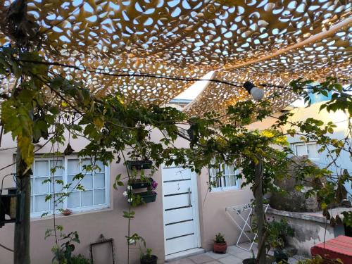San Pedro Apartamento | La Violeta Due