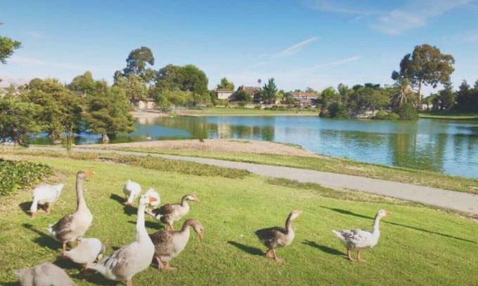 Lake Area Casa | Lake front; New 65 smart TV;New refrigerator; New dishwasher