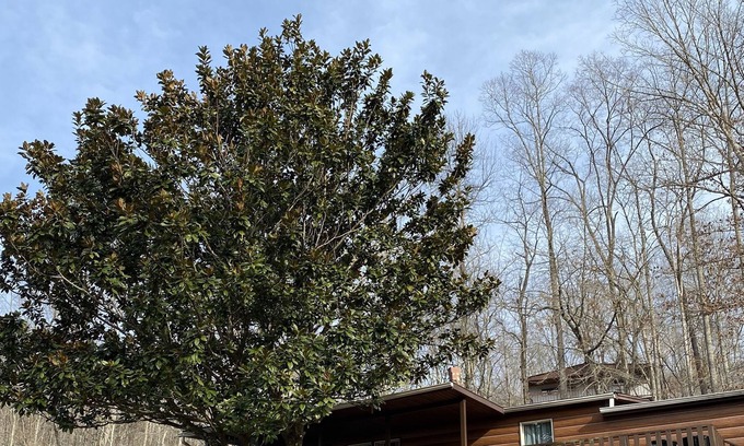 Speedwell Casa | Lake View Home