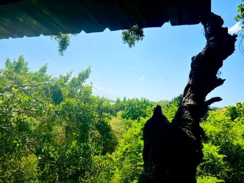 Weerawila Hotel | Lake Wind Resort & Restaurant