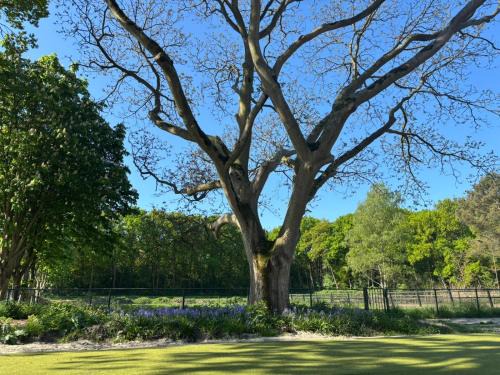 Huijbergen Casa | Landgoed Rotermundt