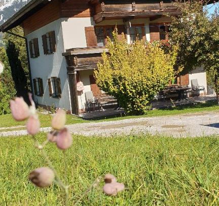 Scheffau am Wilden Kaiser Apartamento | Landhaus Hoschek