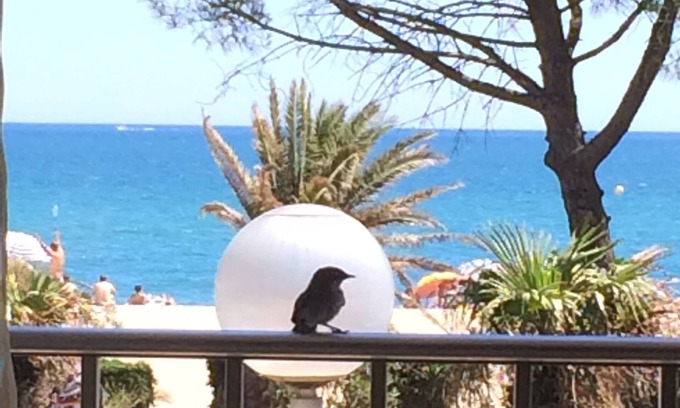 Argeles Plage Apartamento | Apartamento grande, excepcional vista al mar, frente al mar, Argeles Plage, 90 m².