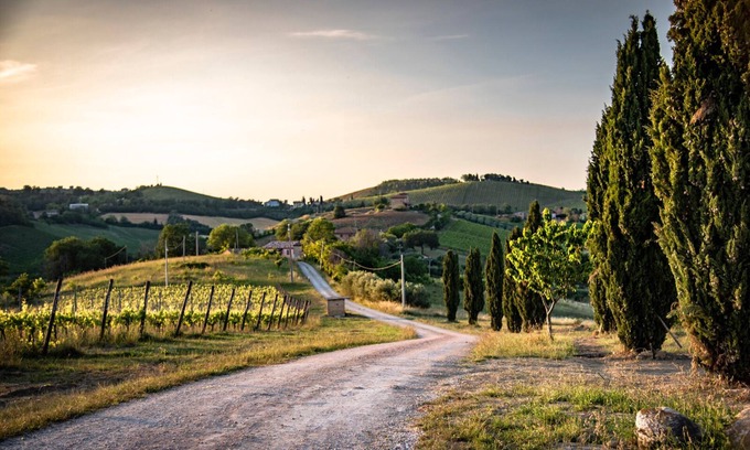 Montalto delle Marche Otro | ¡Último minuto! - L 'Aglio Matto