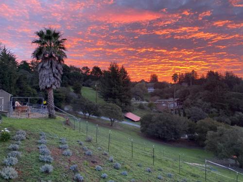 Watsonville Apartamento | Lavandine Farm