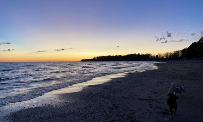 Port Colborne Cabaña | Lazy Daisy - A perfect Canadian Lake Erie getaway! Pet-friendly!