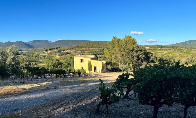 Vinsobres Casa | Le Cabanon des Vignes, an exceptional site amidst the vines