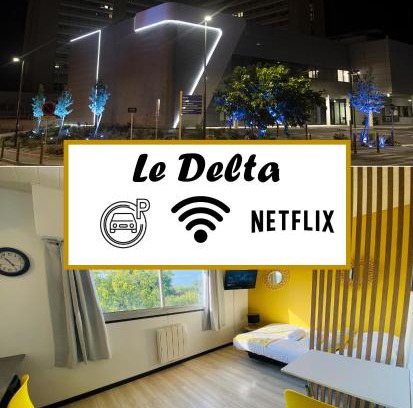 Les 3 Cites Apartamento | Le Delta - Centre CHU - parking privé - Netflix