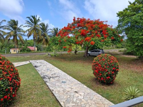 Saint-Louis Casa | Le Flamboyant