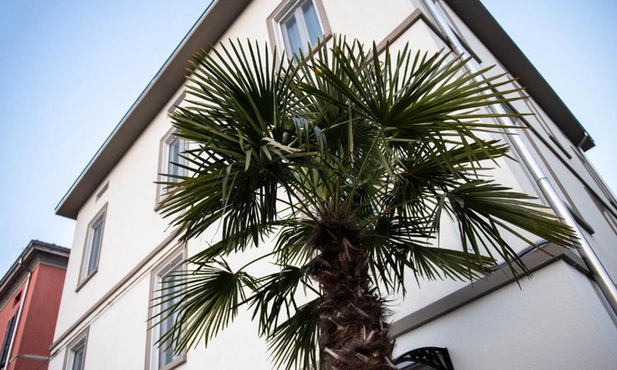 Parma Casa | Le PALME