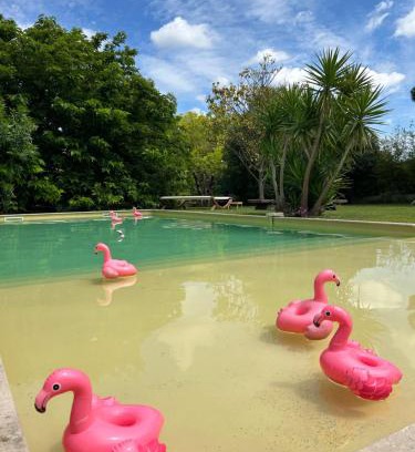 Aimargues Cama Y Desayuno | Le Patio, chambres d hôtes pour adultes en Camargue, possibilité de naturisme à la piscine,