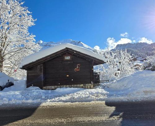 Le Chinaillon Chalet De Esquí | Le Petit Chalet du Chinaillon