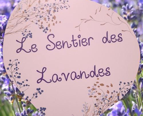 Membre Apartamento | Le Sentier des Lavandes