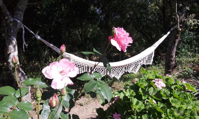 Porto-Vecchio Apartamento | Le studio