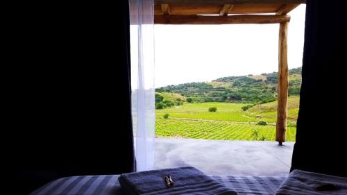 Port-Vendres Cama Y Desayuno | Les cabanons de Mémé Jeannette