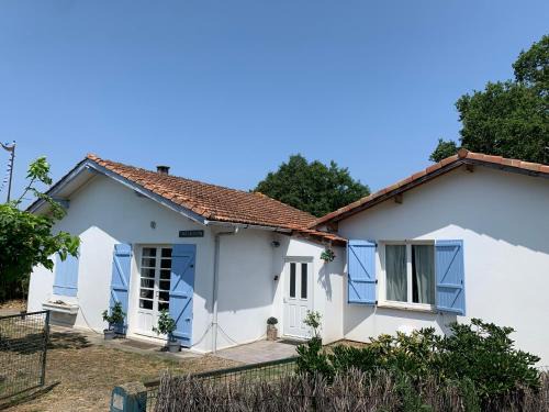 Leon Casa | Les Cigales