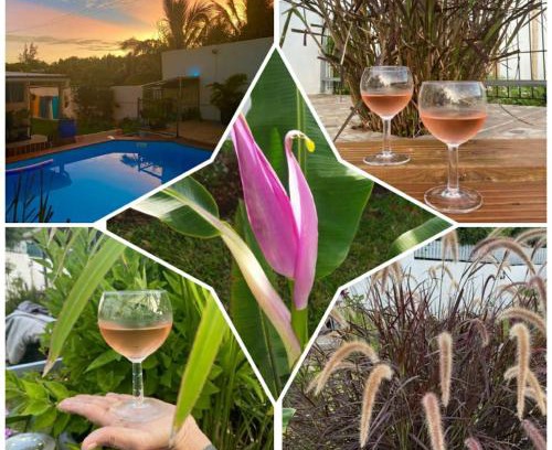 Saint-Joseph Casa | Les tourterelles