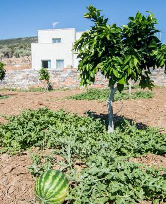 Naxos Apartamento | Ligaridia Apartments
