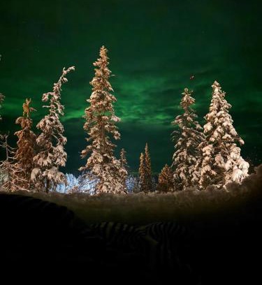 Posio Complejo | Lights of Lapland Resort